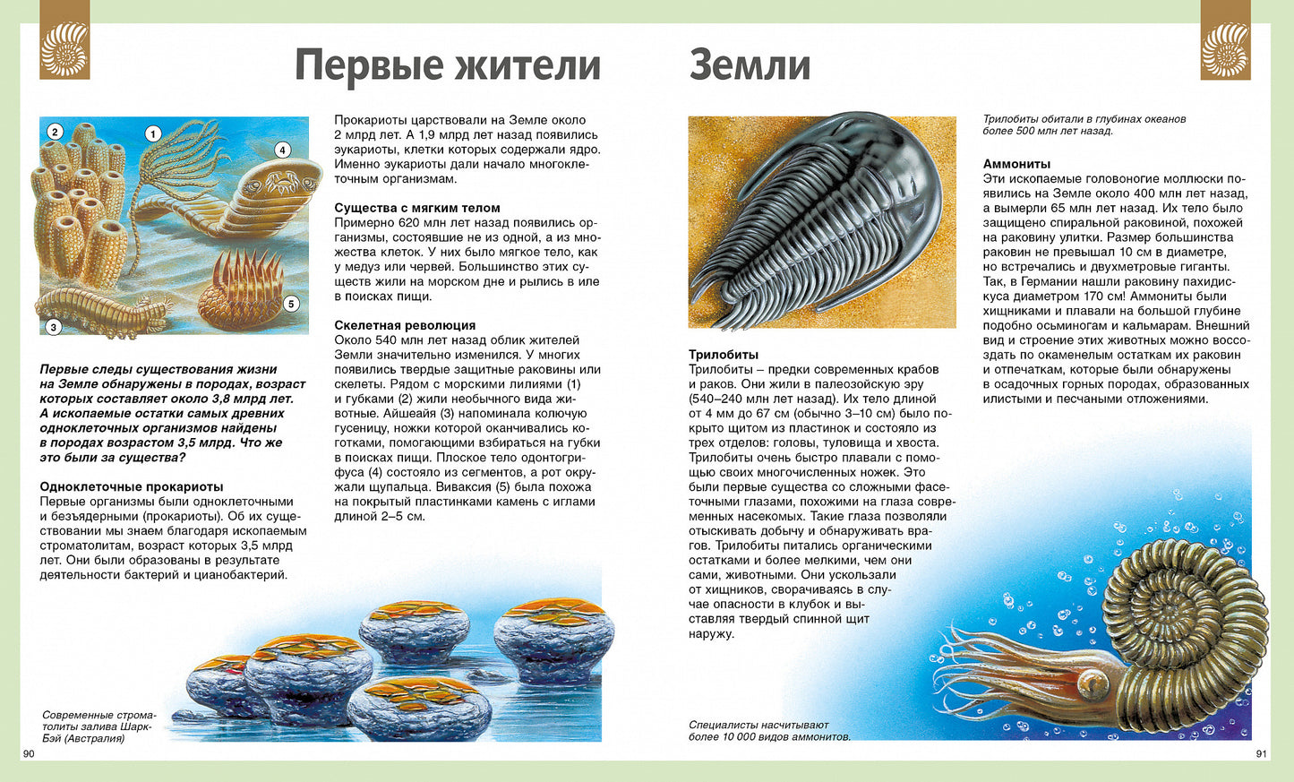 Универсальная школьная энциклопедия