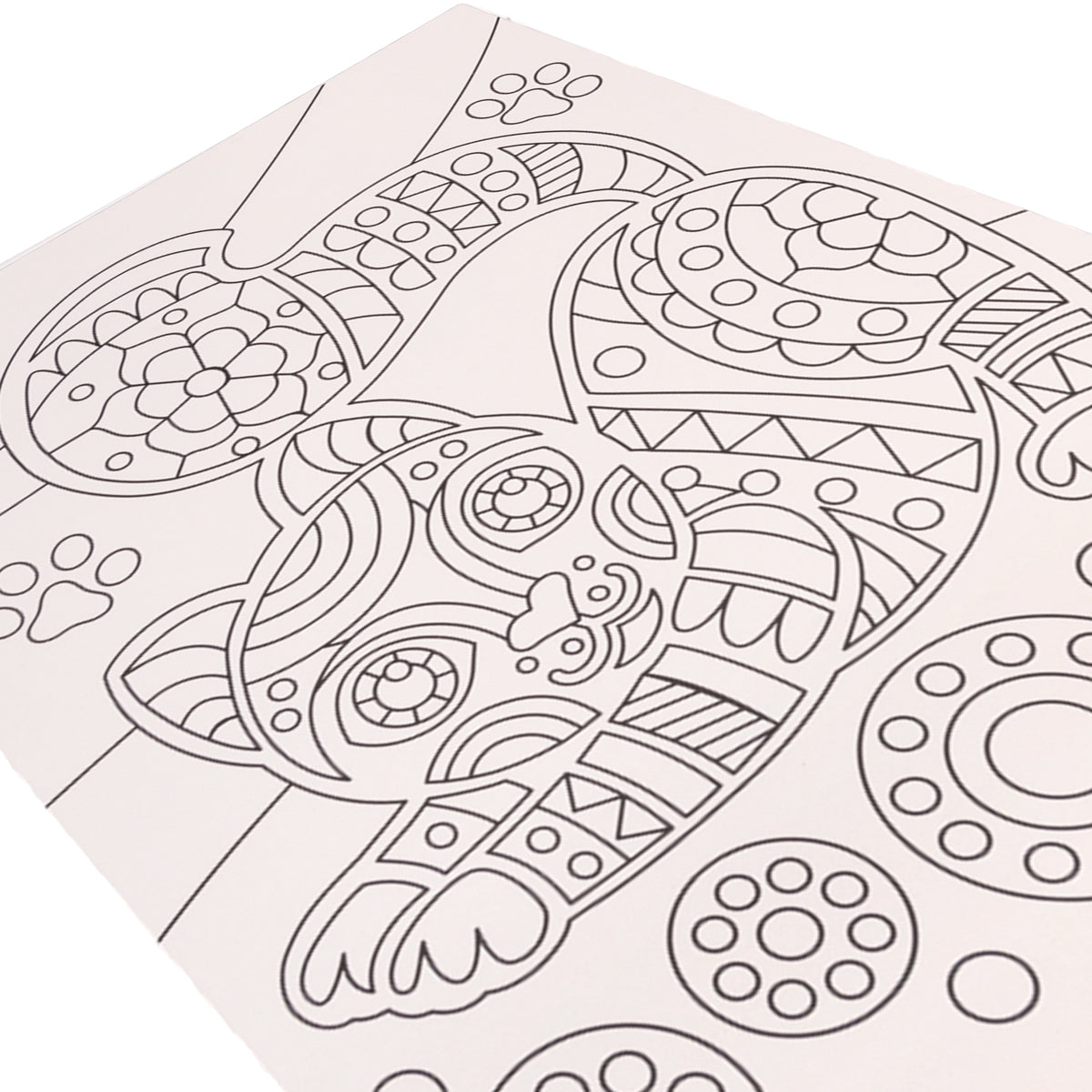 Набор для творчества. Раскраска "Котик"