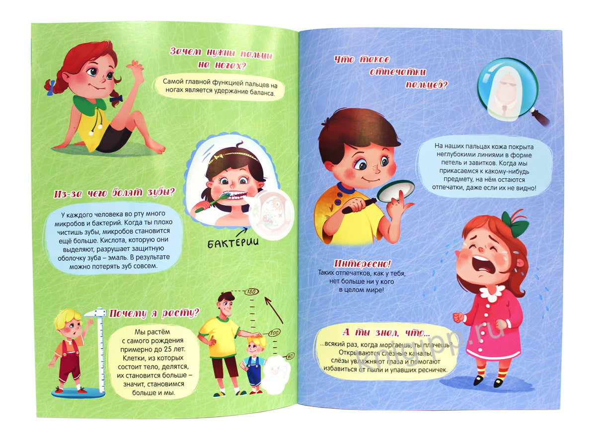 Атлас. Тело человека