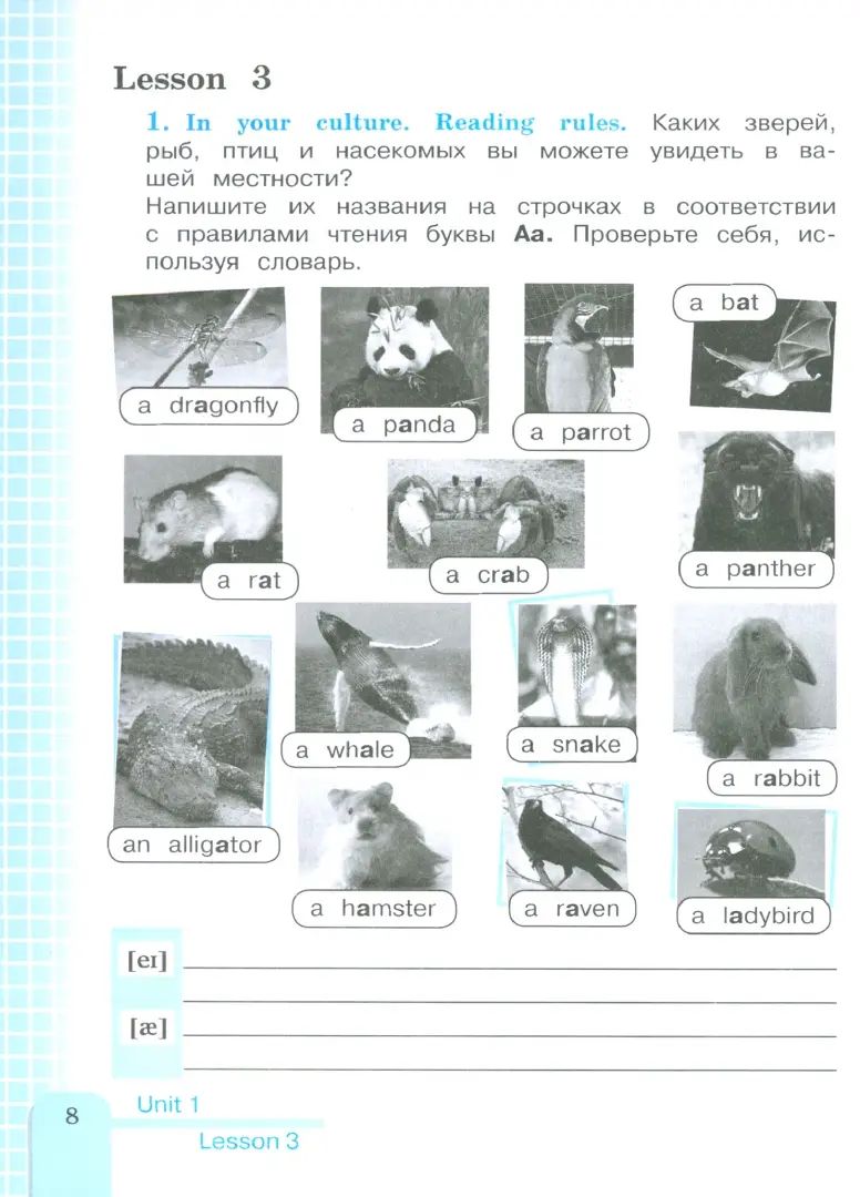 Кузовлев. Английский язык. Рабочая тетрадь. 3 класс. / к уч/пособ. соотв. ФГОС 2021