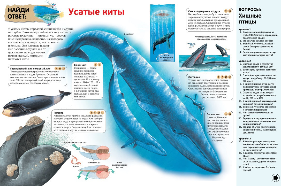 Интерактивная энциклопедия для школьников. Ответы на 1000 вопросов