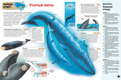 Интерактивная энциклопедия для школьников. Ответы на 1000 вопросов