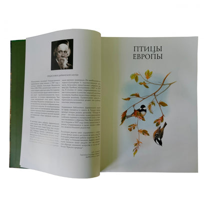 Птицы Европы