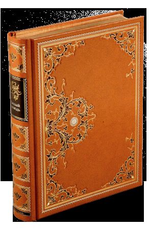 Морской волчонок. Затерянная гора (подарочное издание)