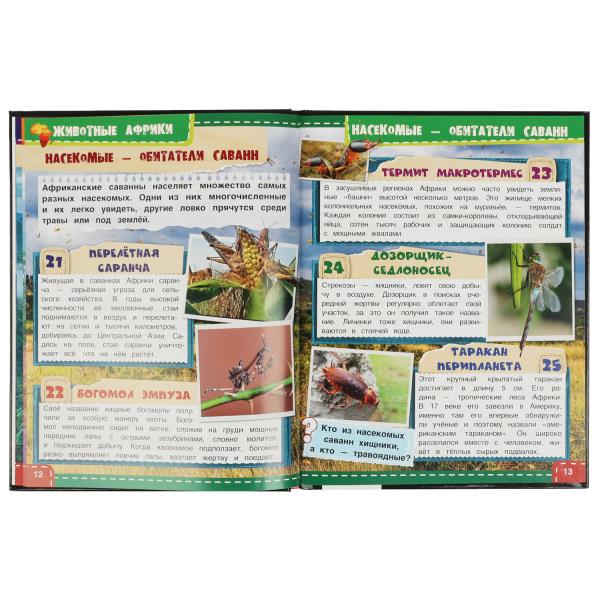 Животные Африки. 100 фактов. И. Я. Павлинов. Энциклопедия с развивающими заданиями. Умка в кор.22шт