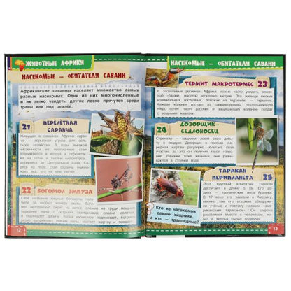 Животные Африки. 100 фактов. И. Я. Павлинов. Энциклопедия с развивающими заданиями. Умка в кор.22шт