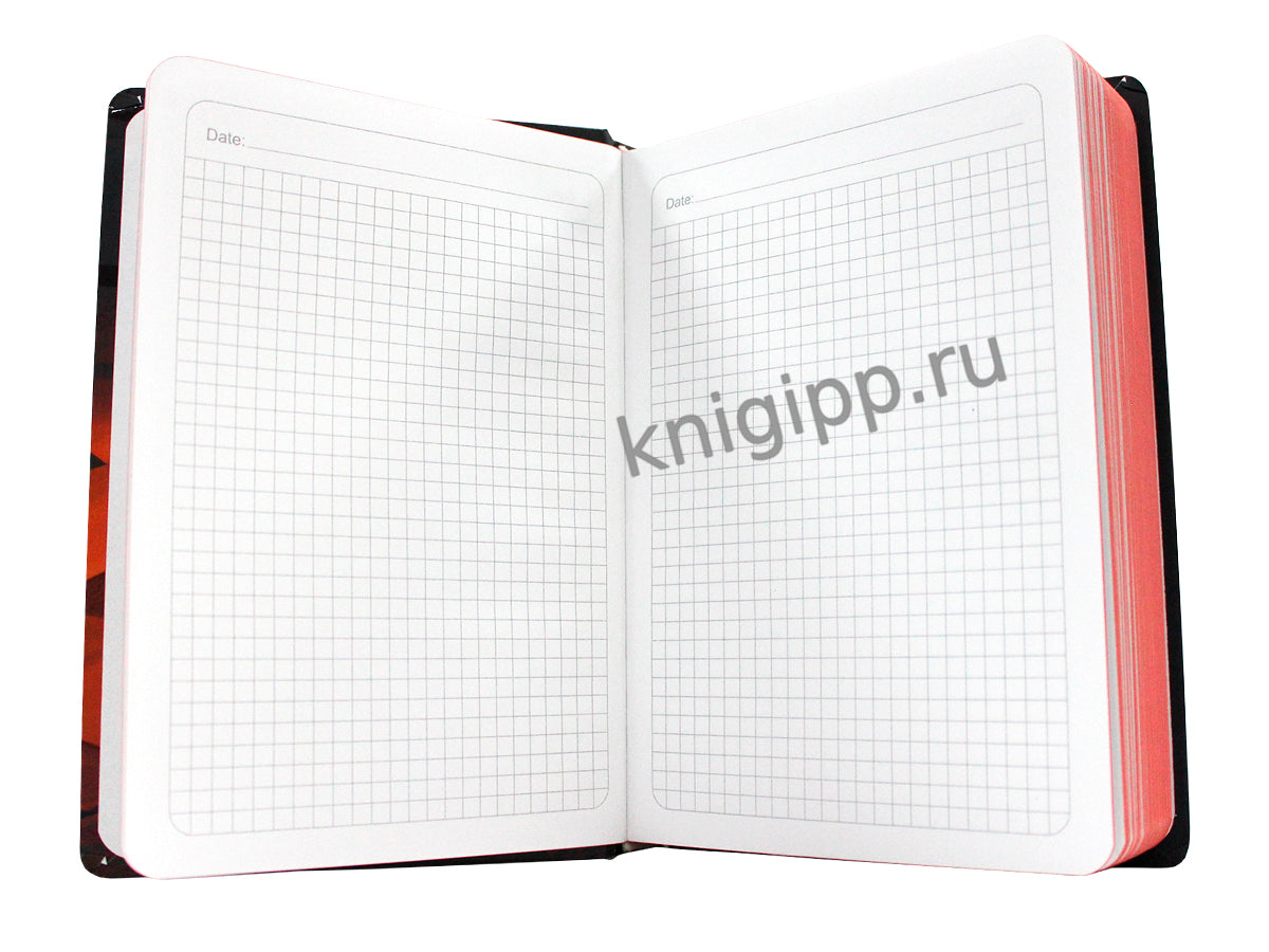 MyArt. БЛОКНОТ в клетку Дивный Восток. Караван