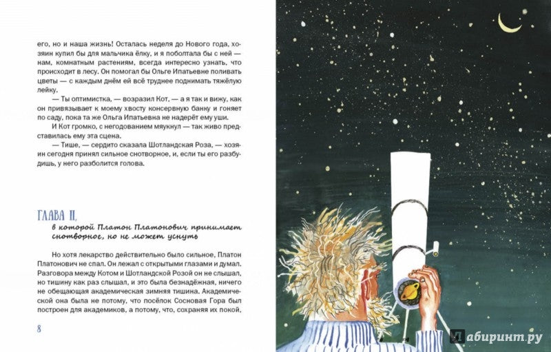 Верлиока: [сказочная повесть] / В. А. Каверин; ил. Н. Б. Успенской. - М.: Нигма, 2015. - 208 с.: ил.