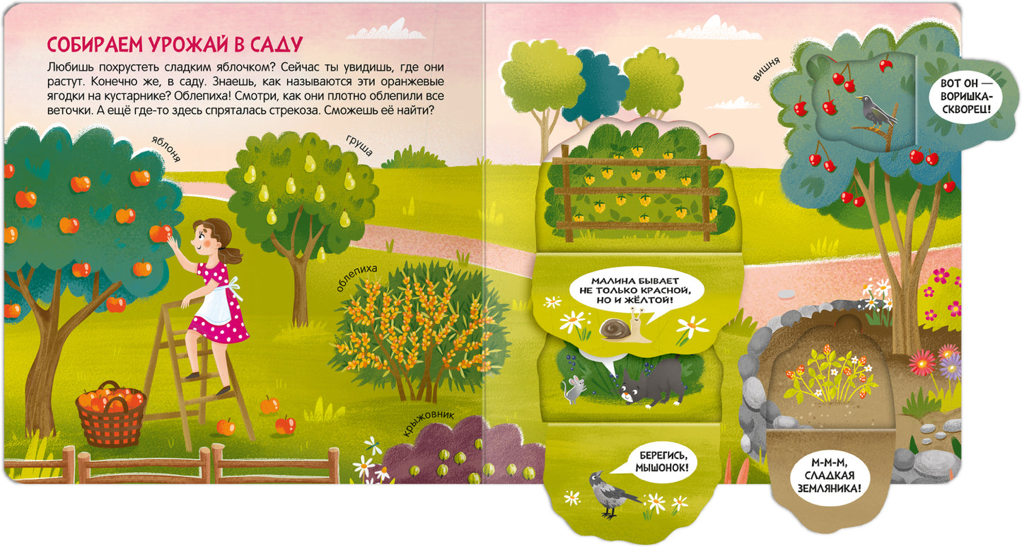 Книжки с окошками. В деревне