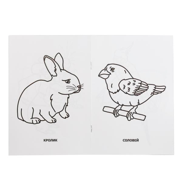 Домашние животные. (Супер-раскраска раскраска для маленьких, 32 картинки). 32 стр. Умка в кор.50шт