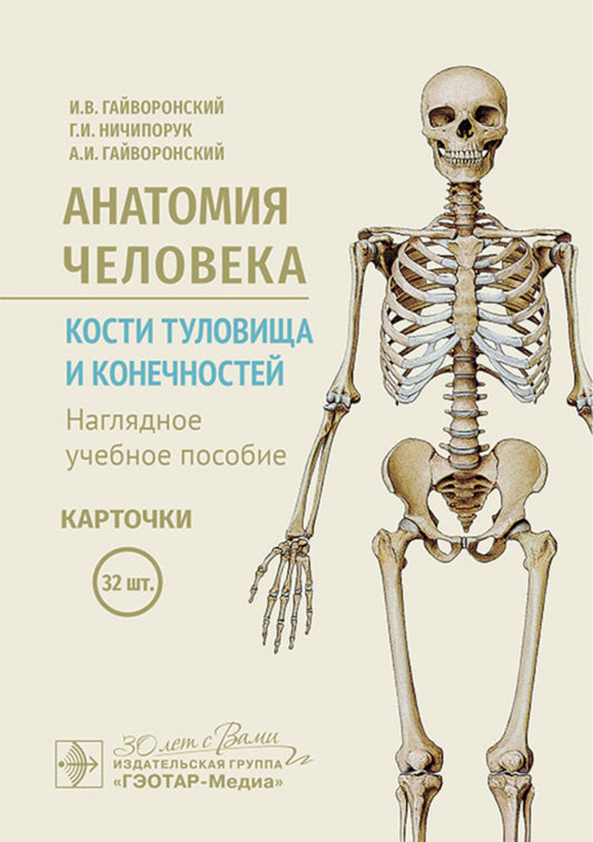 Анатомия человека. Кости туловища и конечностей. Карточки: Наглядное учебное пособие