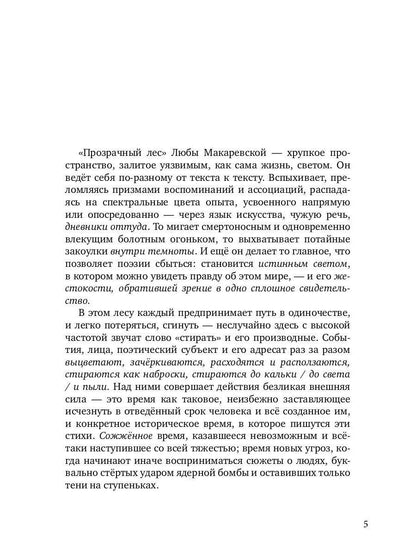 Прозрачный лес