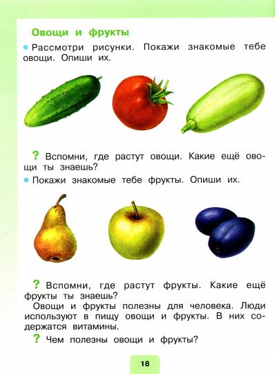 Матвеева 1 кл. Мир природы и человека. Учебник. В 2 Частях .Ч.2 (для обучающихся с интеллектуальными нарушениями)