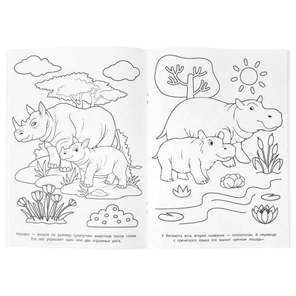 100 животных. Раскраска 100 картинок. 205х280 мм. Скрепка. 64 стр. Умка в кор.30шт