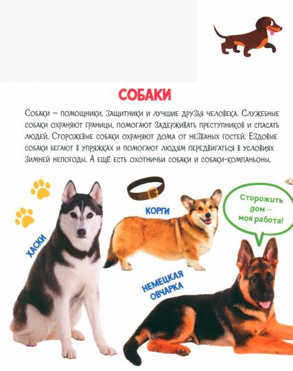 ПОСТР. ВЫРУБКА. ДОМАШНИЕ ЖИВОТНЫЕ 208х209