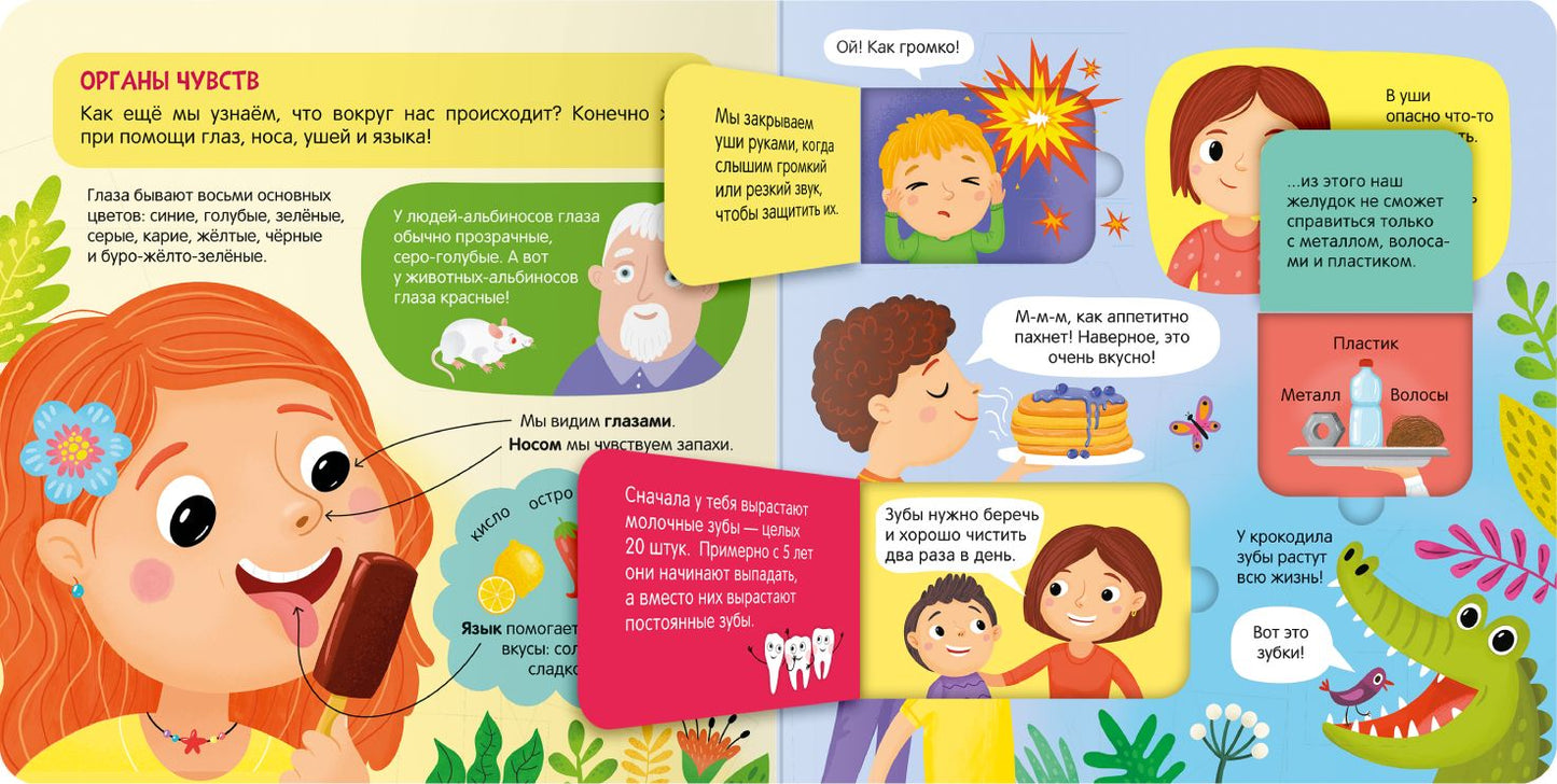 Книжки с окошками. Тело человека