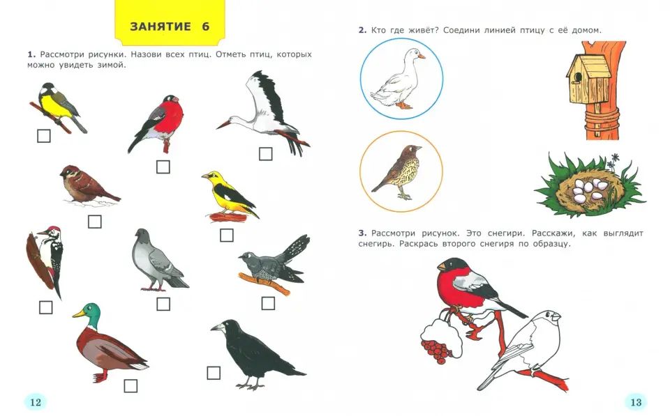Крылова. Дошкольник. Я узнаю окружающий мир 6-7 лет. Рабочая тетрадь