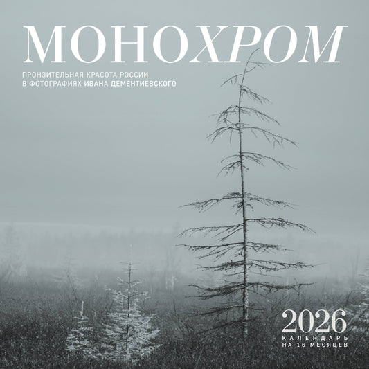 Э.КалНаст.2026.Монохром.Пронзительн.красота России