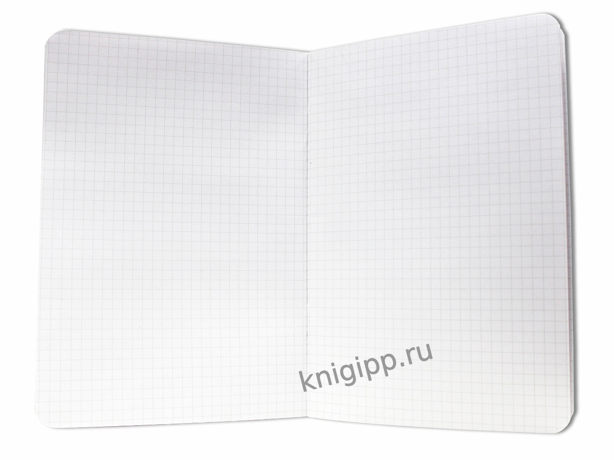 Gatto Rosso. Блокнот в клетку My notebook. НЕВИННОСТЬ