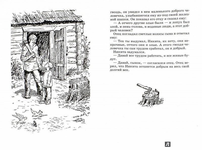 Неизвестный цветок