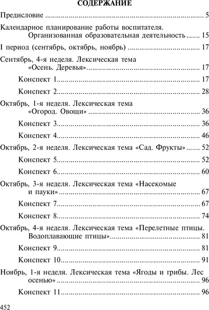 Развитие математических представлений у дошкольников с ОНР (с 6 до 7 лет). Организованная образовательная деятельность. ФГОС.