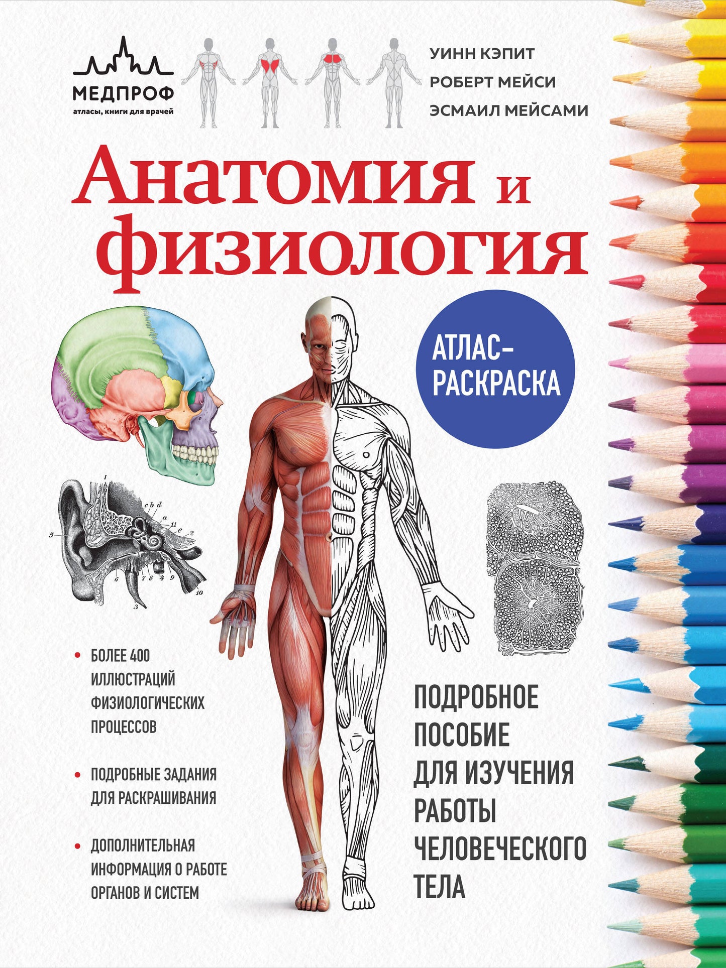 Анатомия и физиология. Атлас-раскраска