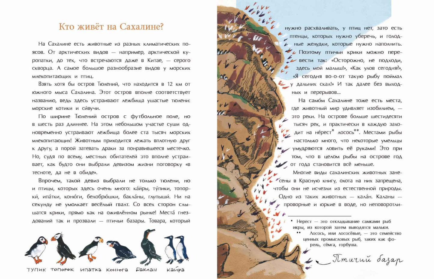 36.Фома.НиН.Сахалин.Самый большой остров России (6