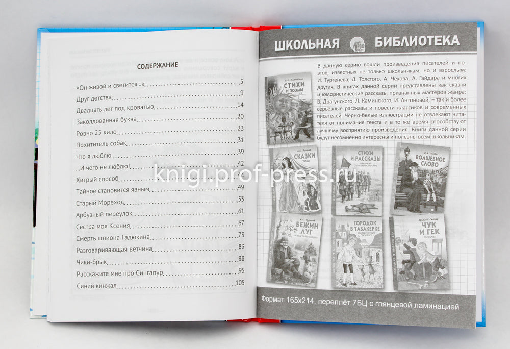 ШКОЛЬНАЯ БИБЛИОТЕКА. ЗАКОЛДОВАННАЯ БУКВА. ДЕНИСКИНЫ РАССКАЗЫ (В.Ю. Драгунский) 112с.