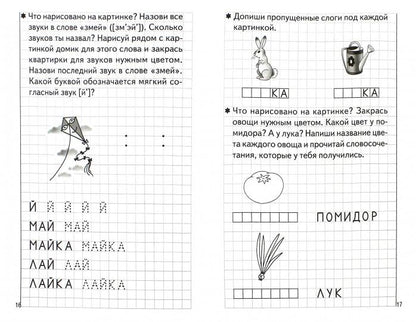 Тетрадь Развиваем навыки чтения и грамотного письма 2ч. 5-6лет