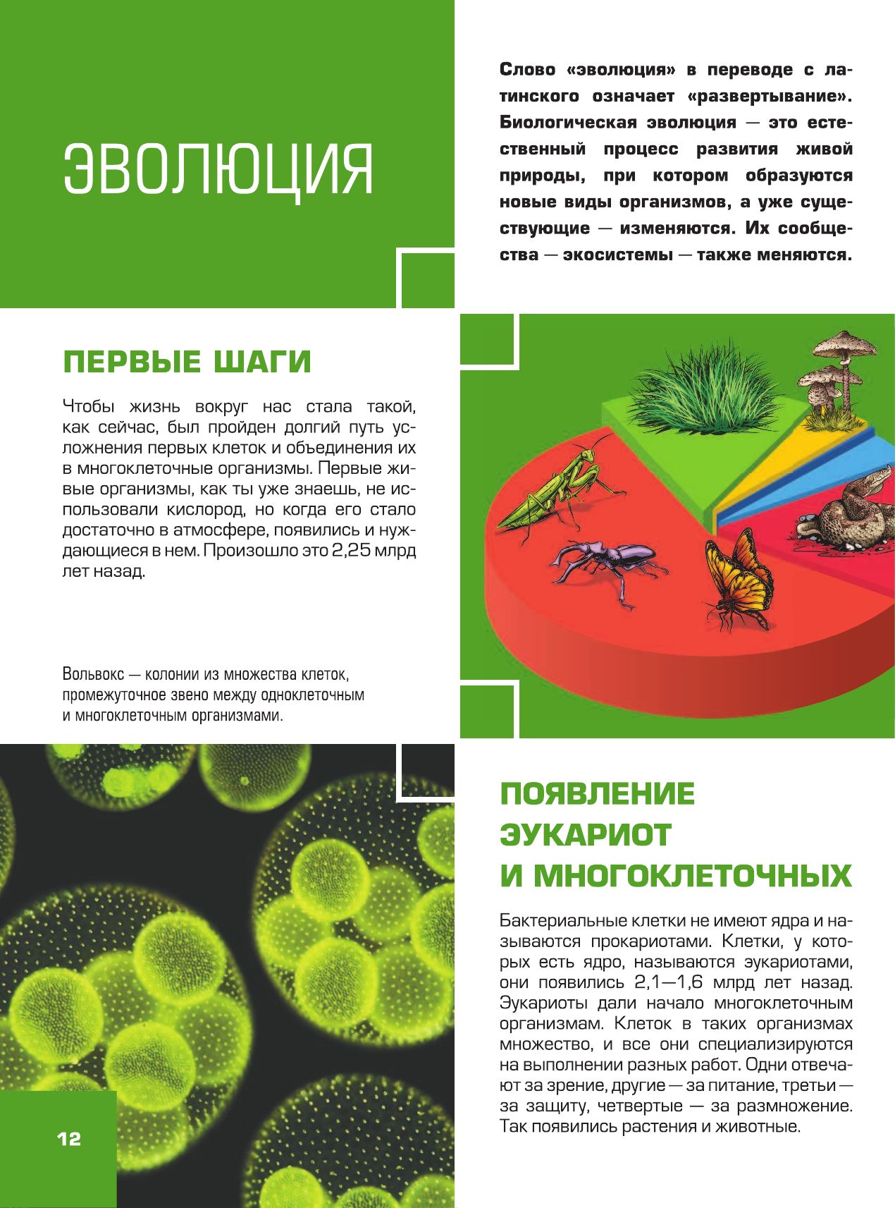Гигантская детская 4D энциклопедия