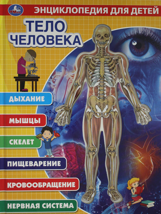 "Умка". Тело человека. Энциклопедия (карт. книга со вставками из прозр. пленки) 230х300мм в кор.20шт