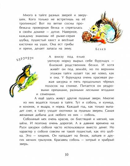 Тайга. Удивительный лес. 2-е изд. Вып. 5