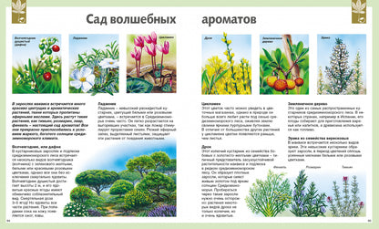 Универсальная школьная энциклопедия