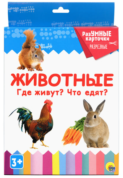 РАЗУМНЫЕ КАРТОЧКИ. ЖИВОТНЫЕ. ГДЕ ЖИВУТ? ЧТО ЕДЯТ?