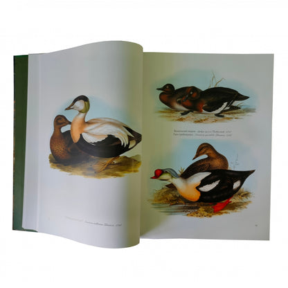 Птицы Европы