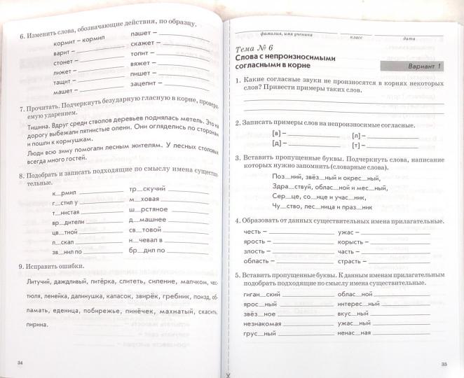 Тематич. контроль знаний учащихся Рус. яз 3кл