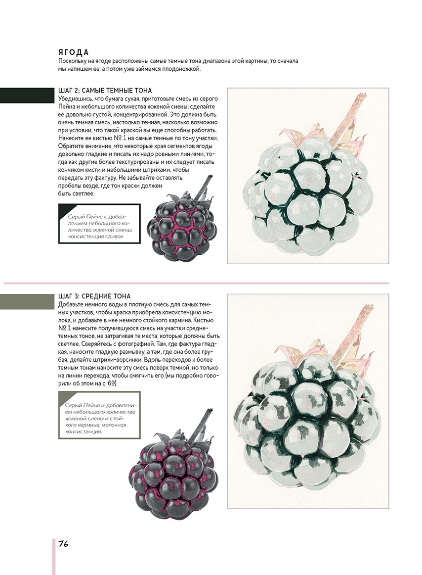 Волшебный мир Анны Мэйсон. Рисуем природу акварелью. Все секреты реалистичной живописи