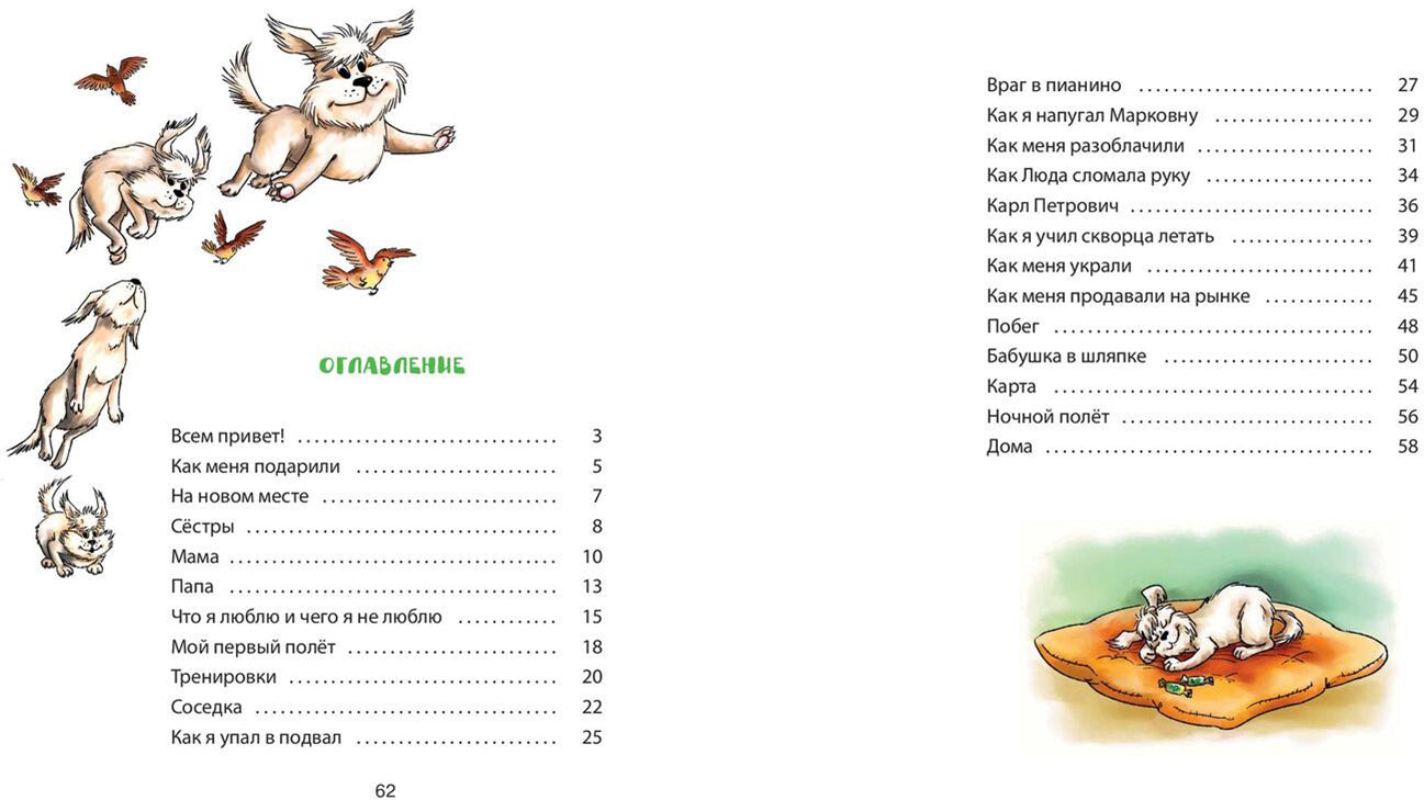 Пух, летающая собака (ожидается поступление)