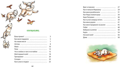 Пух, летающая собака (ожидается поступление)