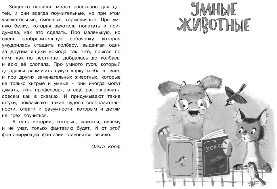 Рассказы для детей