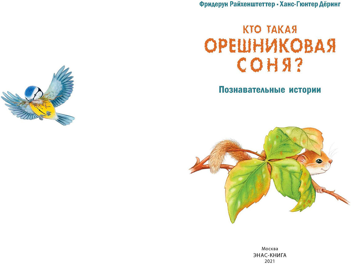 Кто такая орешниковая соня? Познавательные истории (НОВИНКА)