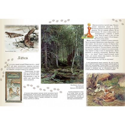 Прогулки по лесу. - 2-е изд.