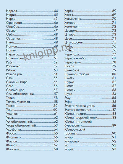 ЛУЧШАЯ ДЕТСКАЯ ЭНЦИКЛОПЕДИЯ новая 96стр. ЖИВОТНЫЙ МИР ОТ А ДО Я