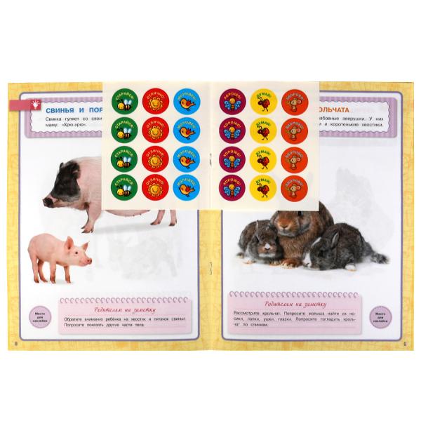 Животные. Годовой курс с поощрительными наклейками. Школа Жуковой. 1–2 года.16 стр. Умка. в кор.50шт
