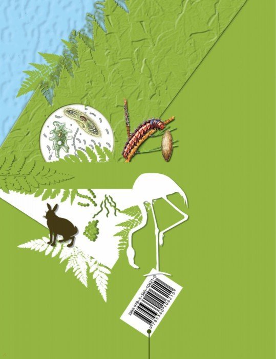 Биология. 5-6 классы. Рабочая тетрадь №1.