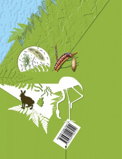 Биология. 5-6 классы. Рабочая тетрадь №1.