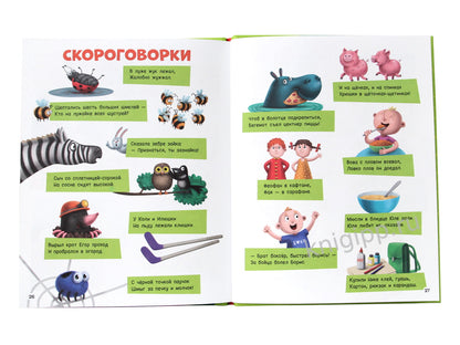 Развиваем речь и мышление ЗАГАДКИ, РЕЧЕВЫЕ ИГРЫ, СКОРОГОВОРКИ мат.ламин.обл. выбор.лак 202х257