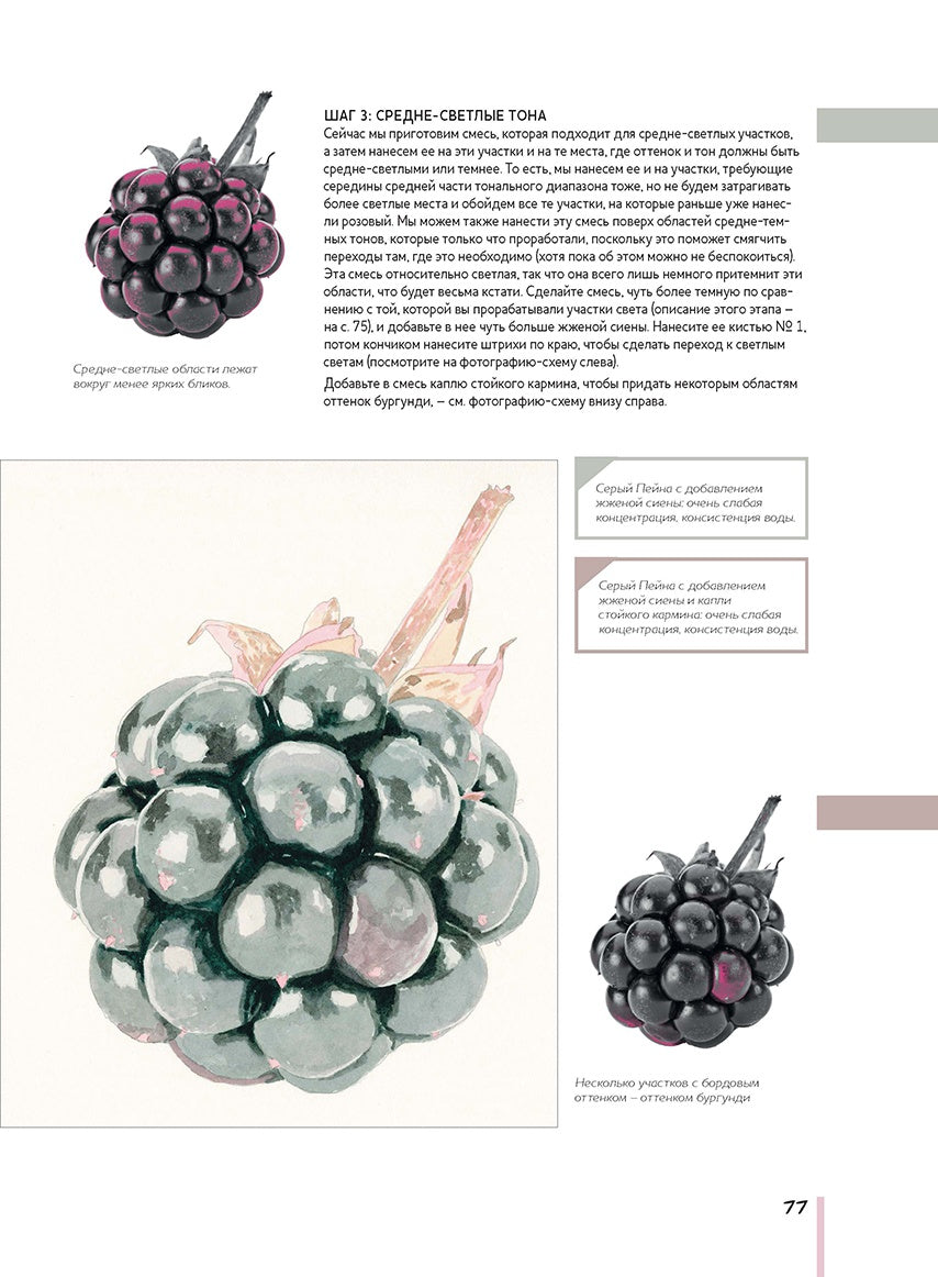 Волшебный мир Анны Мэйсон. Рисуем природу акварелью. Все секреты реалистичной живописи