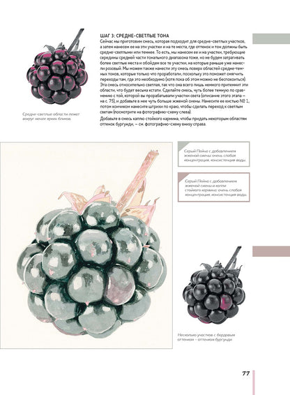Волшебный мир Анны Мэйсон. Рисуем природу акварелью. Все секреты реалистичной живописи