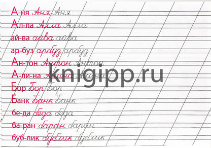 КАЛЛИГРАФИЧЕСКАЯ ПРОПИСЬ А5. альбомная. ПИШЕМ СЛОВА